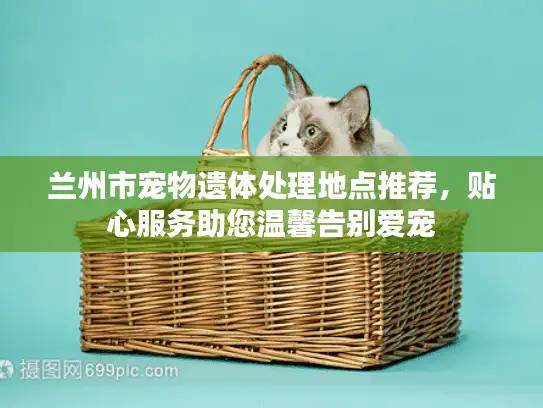 兰州市宠物遗体处理地点推荐，贴心服务助您温馨告别爱宠