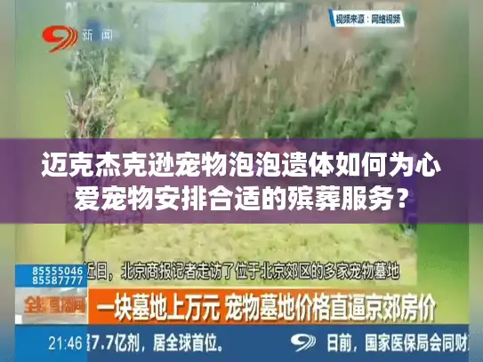 迈克杰克逊宠物泡泡遗体如何为心爱宠物安排合适的殡葬服务？