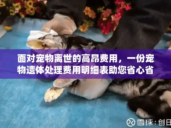 面对宠物离世的高昂费用，一份宠物遗体处理费用明细表助您省心省钱