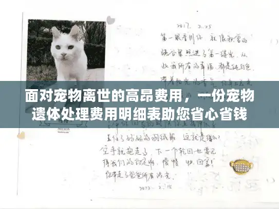 面对宠物离世的高昂费用，一份宠物遗体处理费用明细表助您省心省钱