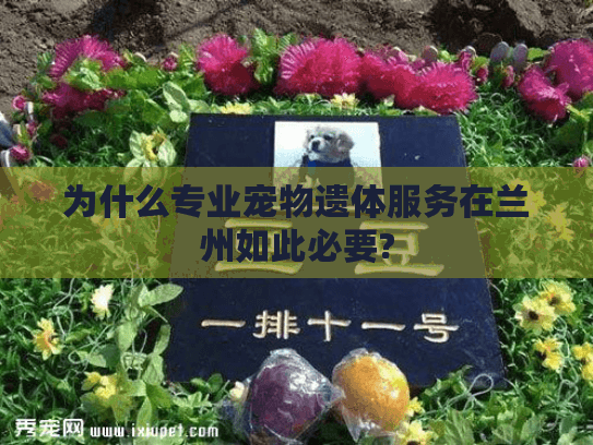为什么专业宠物遗体服务在兰州如此必要? 为什么专业宠物遗体服务在兰州如此必要?