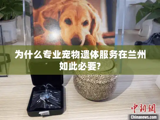 为什么专业宠物遗体服务在兰州如此必要? 为什么专业宠物遗体服务在兰州如此必要?