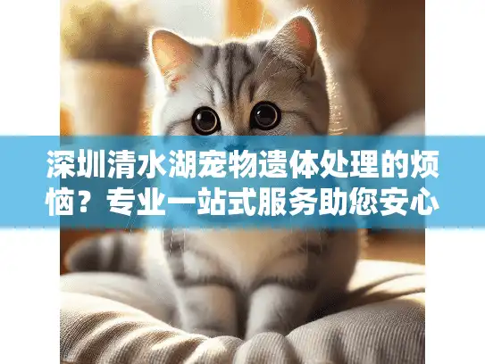 深圳清水湖宠物遗体处理的烦恼？专业一站式服务助您安心告别！