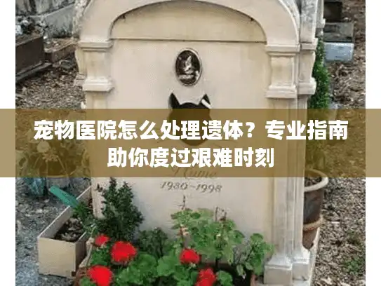 宠物医院怎么处理遗体?专业指南助你度过艰难时刻 宠物医院怎么处理遗体?专业指南助你度过艰难时刻
