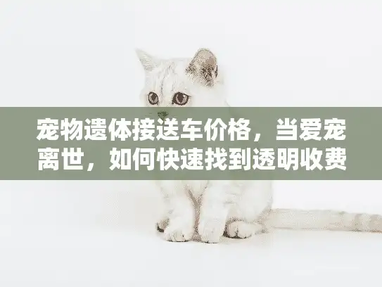 宠物遗体接送车价格，当爱宠离世，如何快速找到透明收费方案？