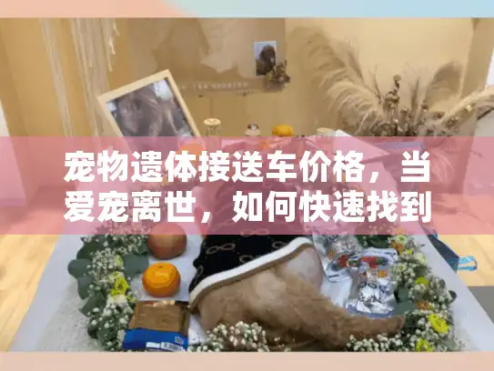 宠物遗体接送车价格，当爱宠离世，如何快速找到透明收费方案？
