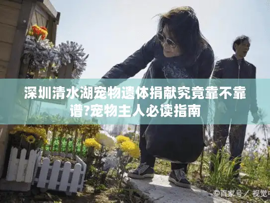 深圳清水湖宠物遗体捐献究竟靠不靠谱?宠物主人必读指南