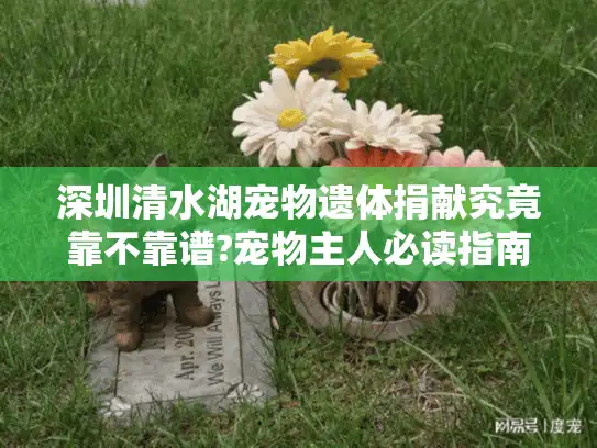 深圳清水湖宠物遗体捐献究竟靠不靠谱?宠物主人必读指南