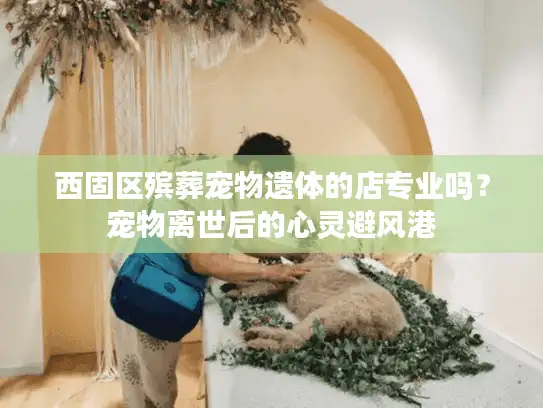 西固区殡葬宠物遗体的店专业吗？宠物离世后的心灵避风港