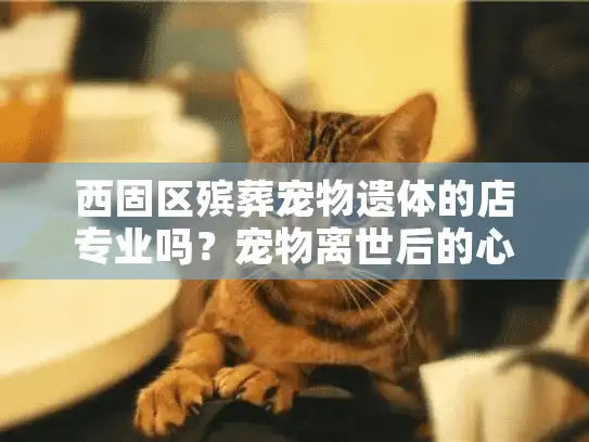 西固区殡葬宠物遗体的店专业吗？宠物离世后的心灵避风港