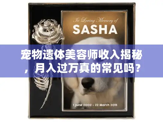 宠物遗体美容师收入揭秘，月入过万真的常见吗？