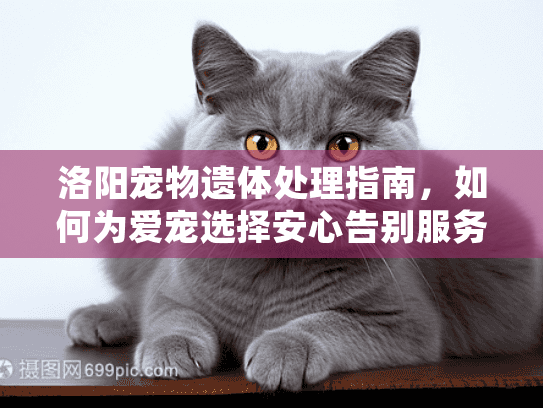 洛阳宠物遗体处理指南，如何为爱宠选择安心告别服务？