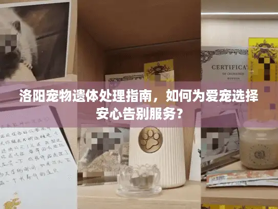 洛阳宠物遗体处理指南，如何为爱宠选择安心告别服务？