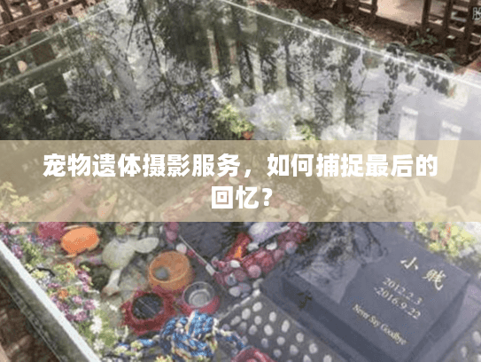 宠物遗体摄影服务,如何捕捉最后的回忆? 宠物遗体摄影服务,如何捕捉最后的回忆?