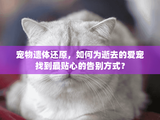 宠物遗体还原，如何为逝去的爱宠找到最贴心的告别方式？