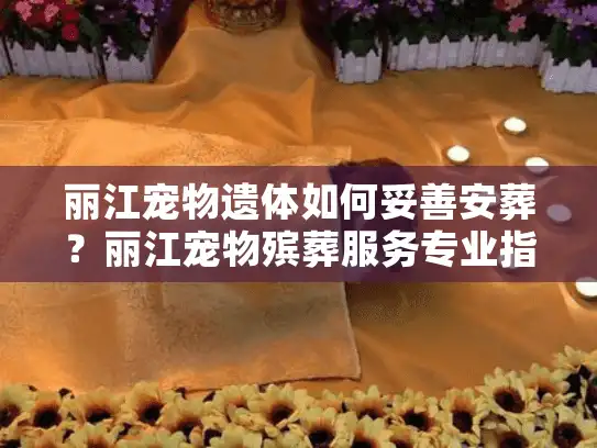 丽江宠物遗体如何妥善安葬？丽江宠物殡葬服务专业指南