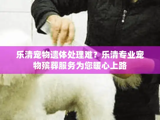 乐清宠物遗体处理难?乐清专业宠物殡葬服务为您暖心上路 乐清宠物遗体处理难?乐清专业宠物殡葬服务为您暖心上路