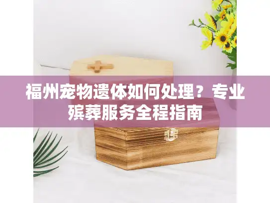 福州宠物遗体如何处理?专业殡葬服务全程指南 福州宠物遗体如何处理?专业殡葬服务全程指南