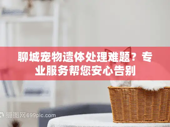 聊城宠物遗体处理难题?专业服务帮您安心告别 聊城宠物遗体处理难题?专业服务帮您安心告别