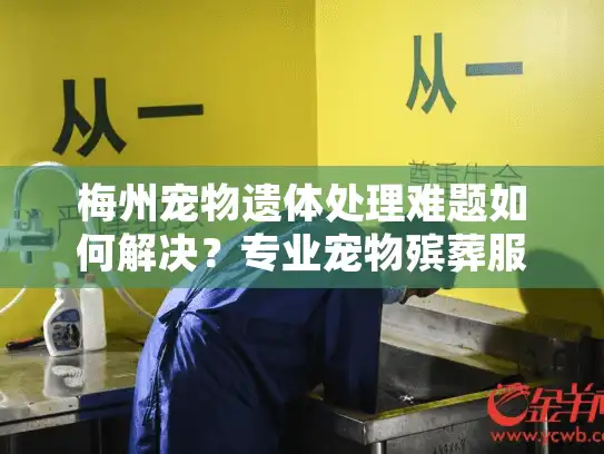 梅州宠物遗体处理难题如何解决？专业宠物殡葬服务推荐
