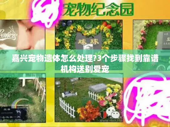 嘉兴宠物遗体怎么处理?3个步骤找到靠谱机构送别爱宠 嘉兴宠物遗体怎么处理?3个步骤找到靠谱机构送别爱宠