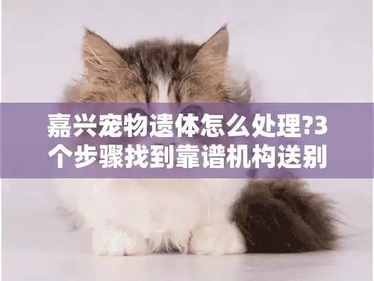 嘉兴宠物遗体怎么处理?3个步骤找到靠谱机构送别爱宠 嘉兴宠物遗体怎么处理?3个步骤找到靠谱机构送别爱宠