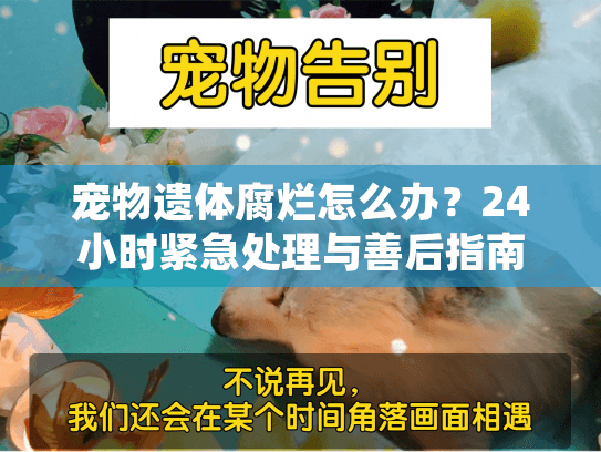 宠物遗体腐烂怎么办?24小时紧急处理与善后指南 宠物遗体腐烂怎么办?24小时紧急处理与善后指南