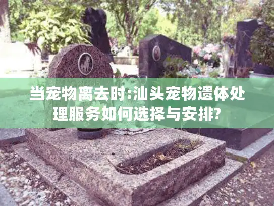 当宠物离去时:汕头宠物遗体处理服务如何选择与安排?