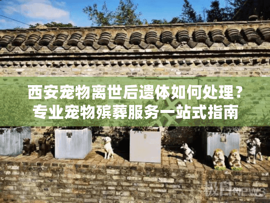 西安宠物离世后遗体如何处理？专业宠物殡葬服务一站式指南