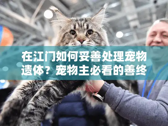 在江门如何妥善处理宠物遗体？宠物主必看的善终服务指南