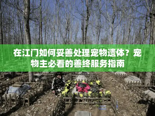 在江门如何妥善处理宠物遗体？宠物主必看的善终服务指南