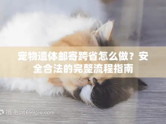 宠物遗体邮寄跨省怎么做？安全合法的完整流程指南