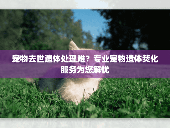 宠物去世遗体处理难？专业宠物遗体焚化服务为您解忧
