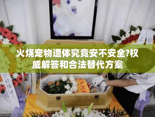 火烧宠物遗体究竟安不安全?权威解答和合法替代方案