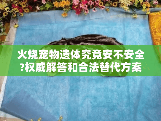 火烧宠物遗体究竟安不安全?权威解答和合法替代方案