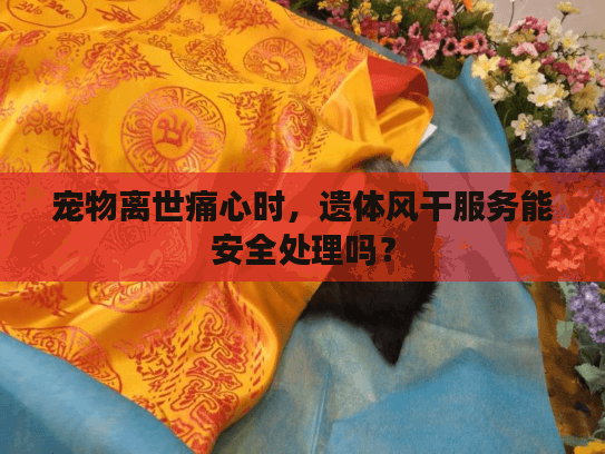 宠物离世痛心时,遗体风干服务能安全处理吗? 宠物离世痛心时,遗体风干服务能安全处理吗?