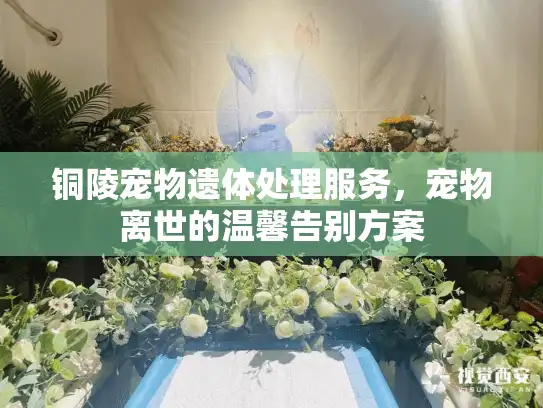 铜陵宠物遗体处理服务,宠物离世的温馨告别方案 铜陵宠物遗体处理服务,宠物离世的温馨告别方案