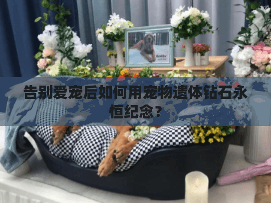 告别爱宠后如何用宠物遗体钻石永恒纪念？
