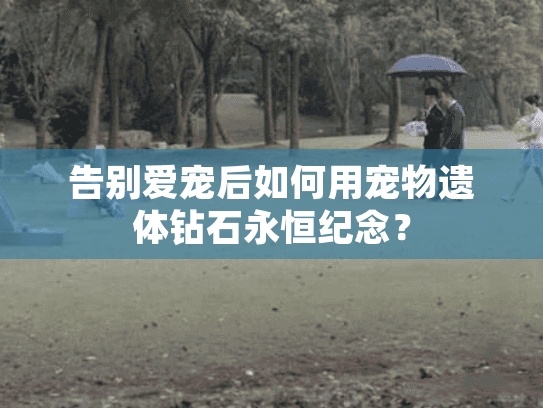 告别爱宠后如何用宠物遗体钻石永恒纪念？