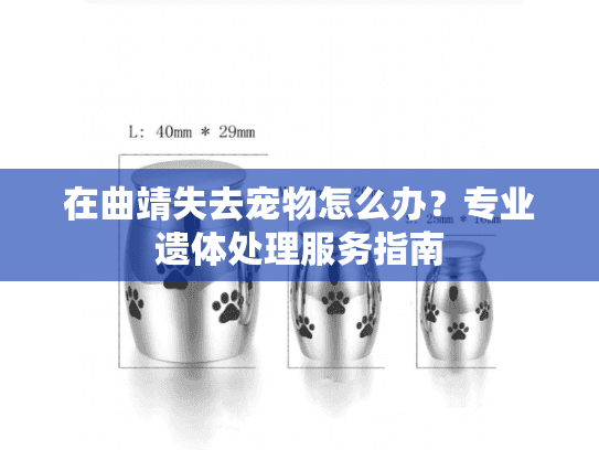 在曲靖失去宠物怎么办？专业遗体处理服务指南