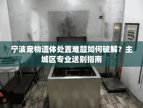 宁波宠物遗体处置难题如何破解？主城区专业送别指南