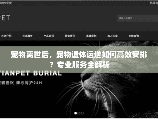 宠物离世后，宠物遗体运送如何高效安排？专业服务全解析