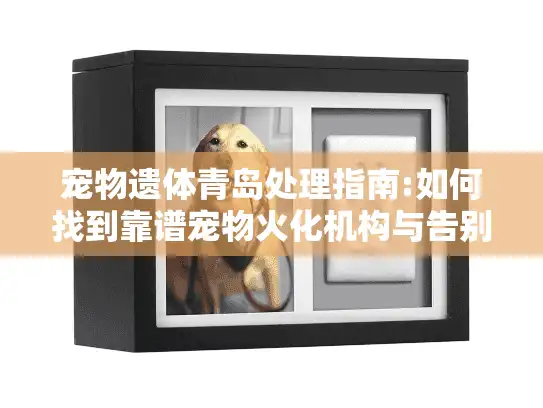 宠物遗体青岛处理指南:如何找到靠谱宠物火化机构与告别服务