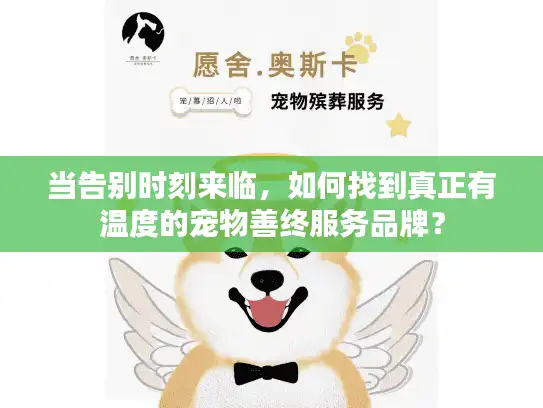 当告别时刻来临，如何找到真正有温度的宠物善终服务品牌？
