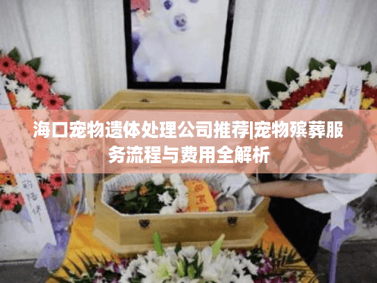 海口宠物遗体处理公司推荐|宠物殡葬服务流程与费用全解析 海口宠物遗体处理公司推荐|宠物殡葬服务流程与费用全解析