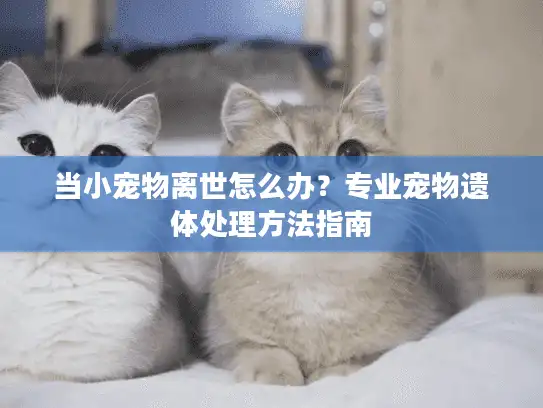 当小宠物离世怎么办?专业宠物遗体处理方法指南 当小宠物离世怎么办?专业宠物遗体处理方法指南