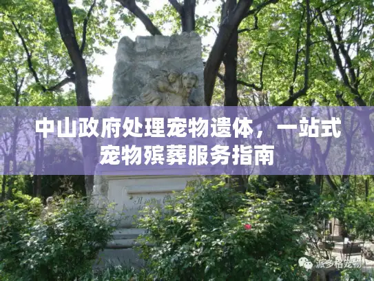中山政府处理宠物遗体，一站式宠物殡葬服务指南