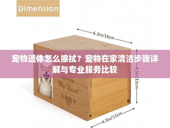 宠物遗体怎么擦拭？宠物在家清洁步骤详解与专业服务比较