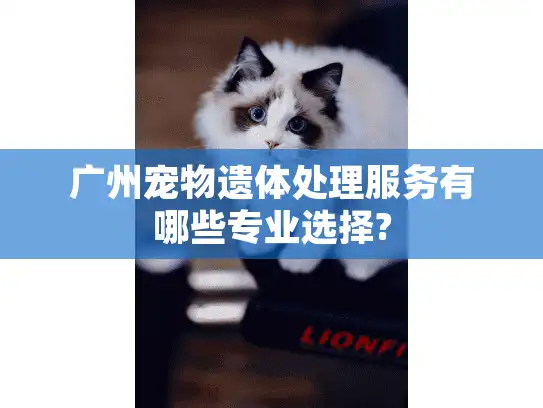 广州宠物遗体处理服务有哪些专业选择? 广州宠物遗体处理服务有哪些专业选择?