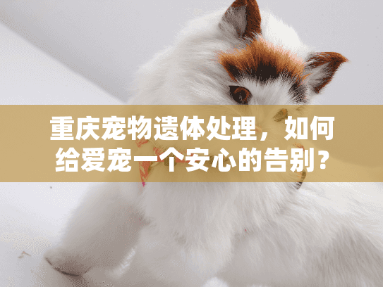 重庆宠物遗体处理，如何给爱宠一个安心的告别？